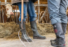 Arbeit für Flüchtlinge in der Landwirtschaft Damit Flüchtlinge besser in Österreich Fuß fassen können