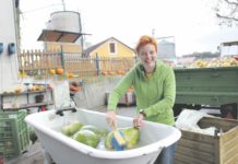 Die größte Beere der Welt Über 150 verschiedene Kürbissorten werden am Betrieb Metz angebaut