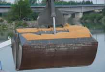 Interessiert mich die Bohne – der Sojamarkt Weltweit wurden 2013 rund 278 Mio. Tonnen Soja produziert. Das bedeutet eine Steigerung von 1600 Prozent in den vergangenen 50 Jahren.