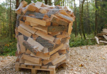 Biomasse-Verband: Mit Holz heizen ist günstiger Holz als vergleichsweise günstige und klimafreundliche Alternative
