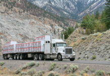 Das GeCETA geht weiter Ob die kanadischen Trucks bald öfter mit Waren aus Österreich beladen werden