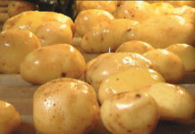 Kartoffelmarkt KW 01/2016: Markt wird bedarfsgerecht versorgt