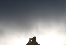 Zahl der Abschüsse in Tirol leicht steigend Die Novelle zum Jagdgesetz soll im Mailandtag beschlossen werden.