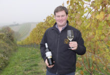 Mein Weg zum Salon Sieger Leopold Rögner präsentiert in den Großengersdorfer Weinrieden seinen Salon Sieger 2015 - einen Welschriesling Klassik Holzberg.