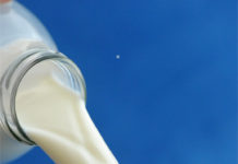 Milchpreis: NÖM zahlt seit 1. Jänner einen Cent mehr NÖM hat am 1. Jänner 2016 den Erzeugermilchpreis für konventionelle Milch erhöht.