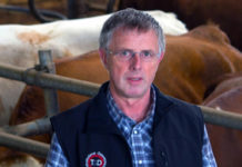 Antibiotika mit Sinn beim Trockenstellen Tierarzt Franz Kritzinger hat Merkblatt über antibiotische Trockensteller entworfen.