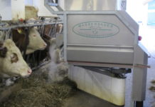 Futteranschieben bei Milchkühen: Es geht auch mit weniger Zeitaufwand Mit dem Futteranschieber kann gleichzeitig Kraftfutter ausgebracht werden.