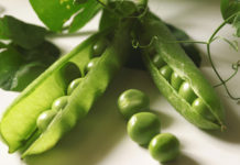 Hülsenfrüchte – wichtiger Teil der Ernährung Zu den gängigen Hülsenfrüchten zählen insbesondere Erbsen