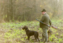 Jagdgesetz: Neuregelung für Wildseuchen nötig Das Jagdgesetz soll 2016 novelliert werden.