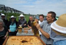 Facharbeiterkurse für Bienenwirtschaft starten Der Facharbeiterkurs umfasst 232 Unterrichtseinheiten und startet am 15. Februar.