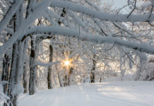 Tipps für die richtige Hautpflege im Winter Im Winter ist bei der Hautpflege und beim Sonnenschutz weniger Feuchtigkeit gefragt. Die Haut braucht fetthaltigeren Schutz.