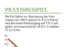 Preisabsicherungen über Optionen: Die “Feuerversicherung” fürs Getreide