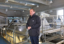 Babymilch gibt neue Kraft Kartoffelwaschanlage in der Stärkefabrik Gmünd - Werksleiter Norbert Harringer erläutert den Gutfluss der Stärkekartoffeln von der Anlieferung bis in die Packung für Fertigpüree.