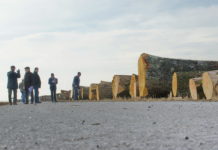 Durchschnittserlös bei den Submissionen gestiegen Österreichweit konnte der Durchschnittswert über alle Lose auf 412 Euro/fm leicht gesteigert werden.