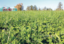 LE-Programmanpassung: Zusätzliche Förderungen für oö. Landwirte Das oö. Grünlandprogramm soll als kofinanzierte Maßnahme ins ÖPUL aufgenommen werden.