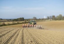 Mais – das Sortiment zum Anbau 2016 Eine gezielte Sortenwahl ist der Grundstein für ein erfolgreiches Maisjahr.