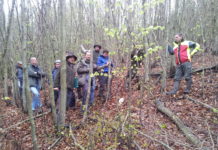 LR Benger: Kärntner Waldpflegeverein bis 2020 abgesichert LR Benger (r.) mit Mitgliedern des Waldpflegevereins.