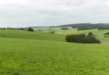 Online mitstimmen bei Greening-Maßnahmen Der Erhalt des Dauergründlands ist eine von drei Greening-Maßnahmen.