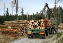 Erneuter Anlauf auf die Forststraßen-Öffnung Forststraßen sind nicht für die gleichzeitige Benützung schwerer Forstmaschinen und Mountainbiker ausgelegt.