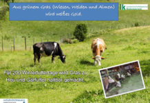 Wertschätzung der Milch steigern Auf unkomplizierte und abwechslungsreiche Art soll aufgezeigt werden