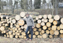 Nachhaltige Waldnutzung Die Waldwirtschaftsgemeinschaft Raabs an der Thaya