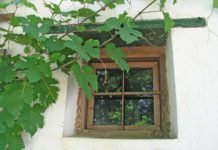 Begegnung mit alter Lebensweisheit Die Gemeinschaft