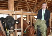 Agrarlandesrat Josef Schwaiger zieht positive Zwischenbilanz Da fühlt sich Landesrat Josef Schwaiger wohl - Im Gespräch mit Schülern an den landwirtschaftlichen Fachschulen. Hier mit Direktor Christian Dullnig (l.) beim Tag der offenen Stalltür an der LFS-Bruck.