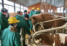 Was bei den Jungbauern 2016 anliegt Studierende im Praxiskurs - die österreichischen Junglandwirte sind fachlich und technisch gut ausgebildet. Aufholbedarf melden junge Hofübernehmer eher bei Fremdsprachen und Konfliktmanagement an.