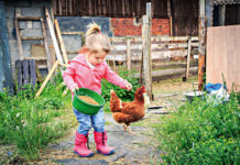 Die Liebe zu Kindern zum Beruf machen Am Bauernhof lernen die Kinder den Bezug zur Natur und erfahren