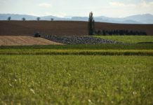 Strategische Nachschärfung Das Öpul - Herzstück der Ländlichen Entwicklung ? dient dem Erhalt der Kulturlandschaft und fördert die umweltgerechte Bewirtschaftung. Im Zuge einer Anpassung der Ländlichen Entwicklung 2014?2020 wird der Öpul-Einstieg bis zum Herbstantrag 2016 verlängert. Verpflichtungsbeginn ist der 1. Jänner 2017.