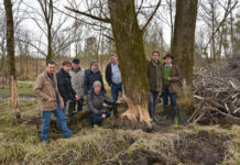 Biber-Problematik: “Was zu viel ist, ist zu viel” Lokalaugenschein in Baumgartenberg (v.l.): Franz Prinz