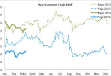 Terminmarkt international: Bodenbildung bei Raps, Weizen und Mais