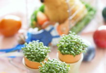 Eierschalen sind sehr vielseitig einsetzbar Eierschalen gehören nicht in den Müll