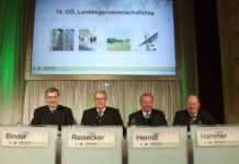 Genossenschaften: Stabil in schwierigen Zeiten Direktor Rudolf Binder