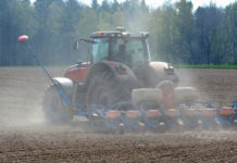 Angebot an Raps, Mais und Weizen bleibt hoch Obwohl die Maisaussaat in weiten Teilen Europas noch auf sich warten lässt