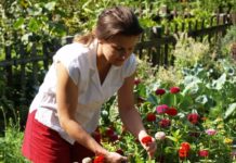 Eine Studie zeigt: Der Garten ist ein Kraftort Gartenarbeit hat einen nicht zu unterschätzenden Erholungswert.