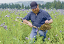AMA-Hauptauszahlung: Leistungsentgelte für 2015 werden am 28. April überwiesen Die Endabrechnung der Leistungsentgelte 2015 für Österreichs Bauern nimmt die AMA per 28. April vor. Für das laufende Jahr soll sich die Abrechnung deutlich beschleunigen