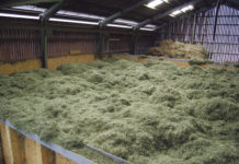 Für jedes Heu die richtige Trocknungsstrategie Die "Losetrocknung" eignet sich für Warmluft oder Dachabsaugung