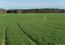 Felderbegehungen der LK Burgenland Die LK Burgenland veranstaltet an drei Terminen Felderbegehungen