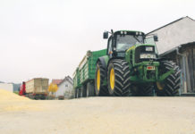 Maisnotierung konnte den Weizen überholen Bei Mais deuten die Prognosen der EU-Kommission auf mittelfristig sinkende Endbestände hin. Den Notierungen verhalf dies zu einer leicht positiven Entwicklung.