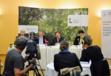 Waldstrategie 2020+: Zukunftsprogramm für das Multitalent Wald Präsentierten die Waldstrategie 2020+: Franz Maier