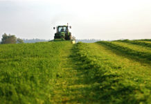 Laufende Messungen für Neustart Görtschitztal Die Behörde rät von einer Futtermittelproduktion aus dem ersten Schnitt nach wie vor ab.