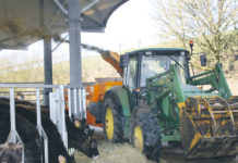 Roundhouse für Milch- und Mutterkühe Jan Kordel beim Einstreuen. Mit dem kombinierten Einstreu- und Futterwagen kann auch das Futter im Zuge einer Umfahrt um den Rundstall vorgelegt werden.
