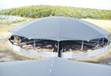 Auch Schweinen gefällt der Rundstall Roundhouse-Stall für Wartesauen aus der Vogelperspektive.