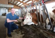 OÖ. Grünlandprogramm von der EU genehmigt Hiegelsberger: "Mit dem Grundwasserschutzprogramm kann gerade den Grünland- und Rinderbauern in Oberösterreich geholfen werden."