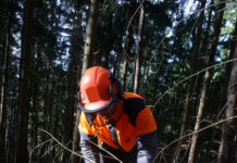 Zuschuss zum Ankauf von Persönlicher Schutzausrüstung im Rahmen der Schneebruchaufarbeitung Als persönliche Schutzausrüstung gelten Schutzhelm