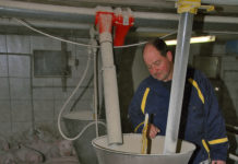 Schweinebranche sucht nach Perspektive Die Fütterung ohne gentechnisch veränderte Pflanzen ist ein großes Thema für die österreichische Schweinebranche.