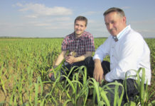 Wir setzen auf Knoblauch Stefan Resch ist mit Bioknoblauch auf dem Wachstumspfad. Bei Kulturführung