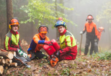 Neues Bildungspaket für Forstwarte beschlossen Im Zuge einer mehrmonatigen Betriebspraxis sollen die angehenden Forstwarte ihr Fachwissen auf praktischem Gebiet vertiefen können.