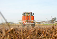 Glyphosat: Weg von der Schwarz-Weiß-Diskussion Das Thema Glyphosat erhitzt die Gemüter. Auf EU-Ebene gibt es nach wie vor keine Einigung.